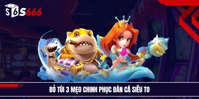 Bỏ túi 3 mẹo chinh phục đàn cá siêu to