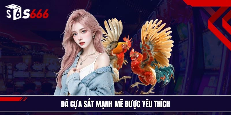 Đá cựa sắt mạnh mẽ được yêu thích