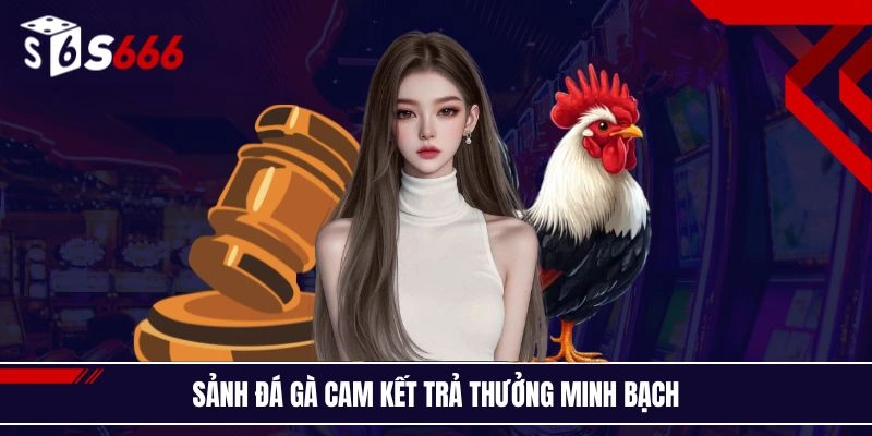 Sảnh đá gà cam kết trả thưởng minh bạch