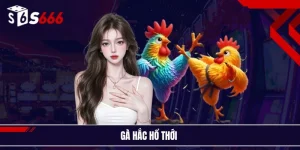 Gà chọi hắc hổ thới